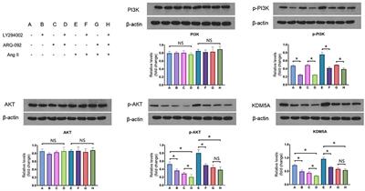 Transcriptomic and ChIP-seq Integrative Analysis Identifies KDM5A-Target Genes in Cardiac Fibroblasts